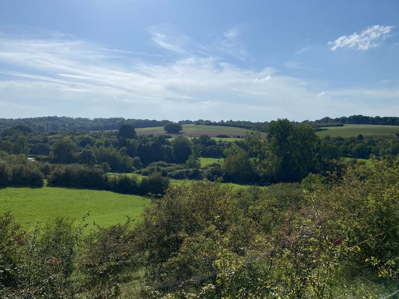 Boucle du Camp d'Angevillers — Mare de Châtebourg
