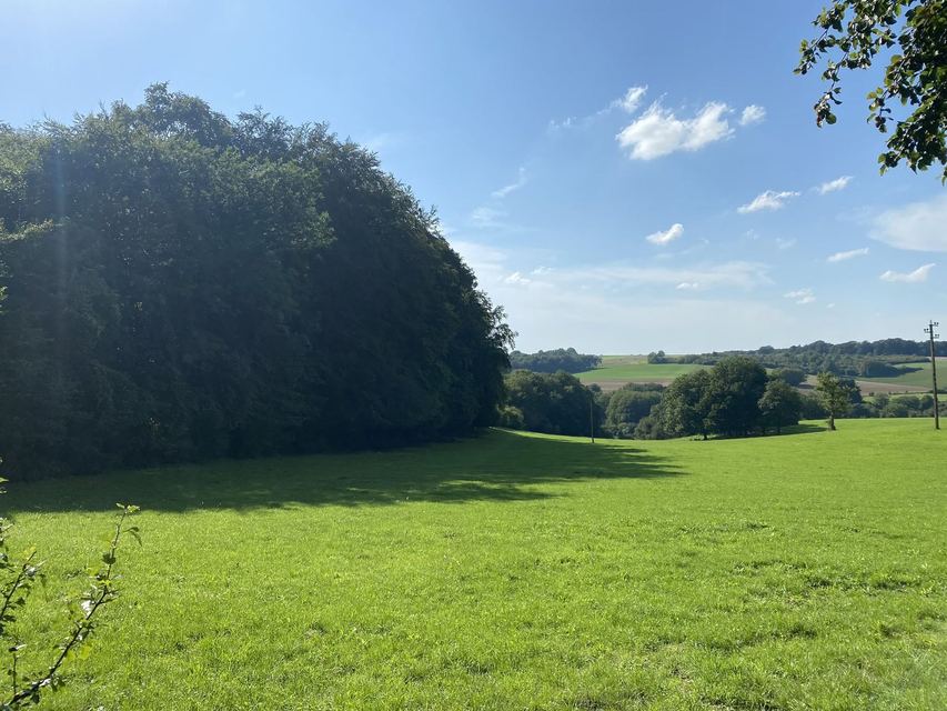 Boucle du Camp d'Angevillers — Mare de Châtebourg — photo 2