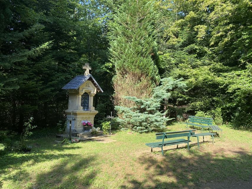Boucle du Camp d'Angevillers — Mare de Châtebourg — photo 4