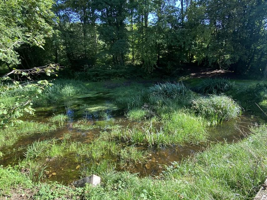 Boucle du Camp d'Angevillers — Mare de Châtebourg — photo 5