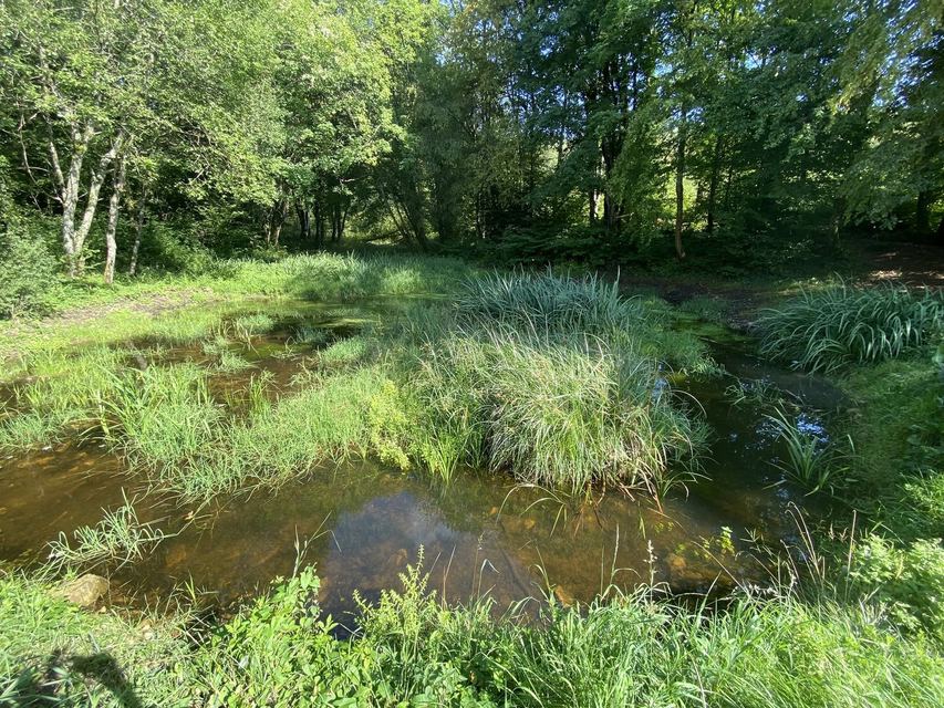 Boucle du Camp d'Angevillers — Mare de Châtebourg — photo 6