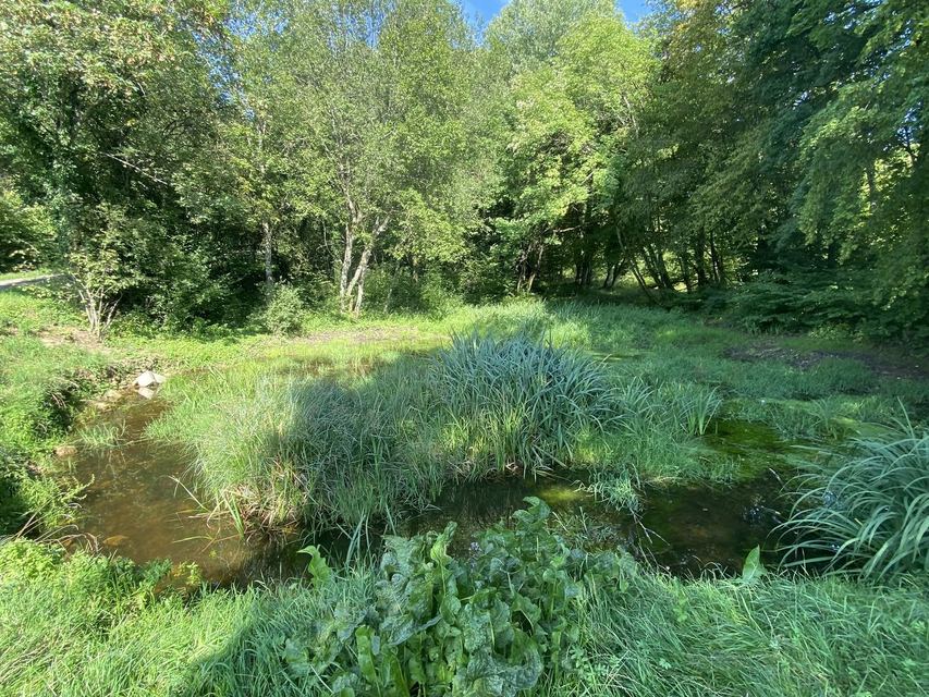 Boucle du Camp d'Angevillers — Mare de Châtebourg — photo 7