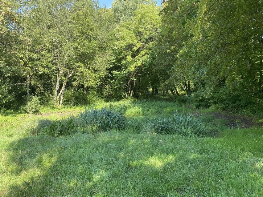 Boucle du Camp d'Angevillers — Mare de Châtebourg — photo 8