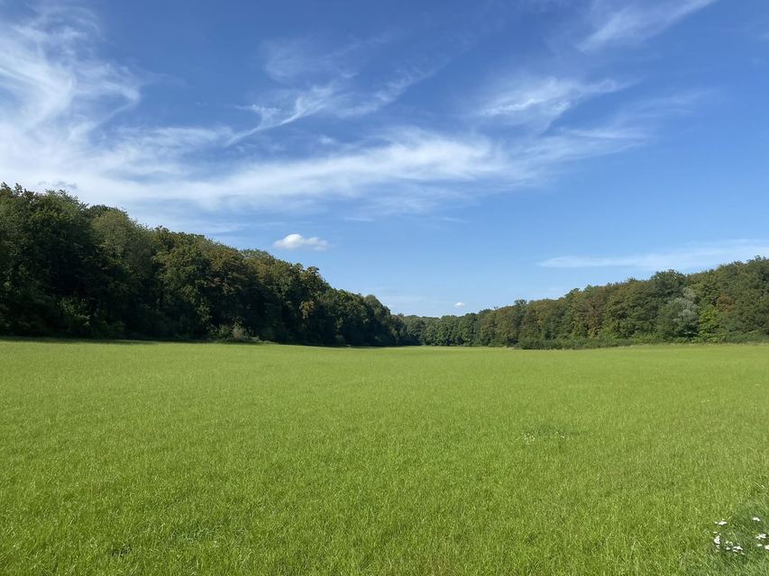Boucle du Camp d'Angevillers — Mare de Châtebourg — photo 10