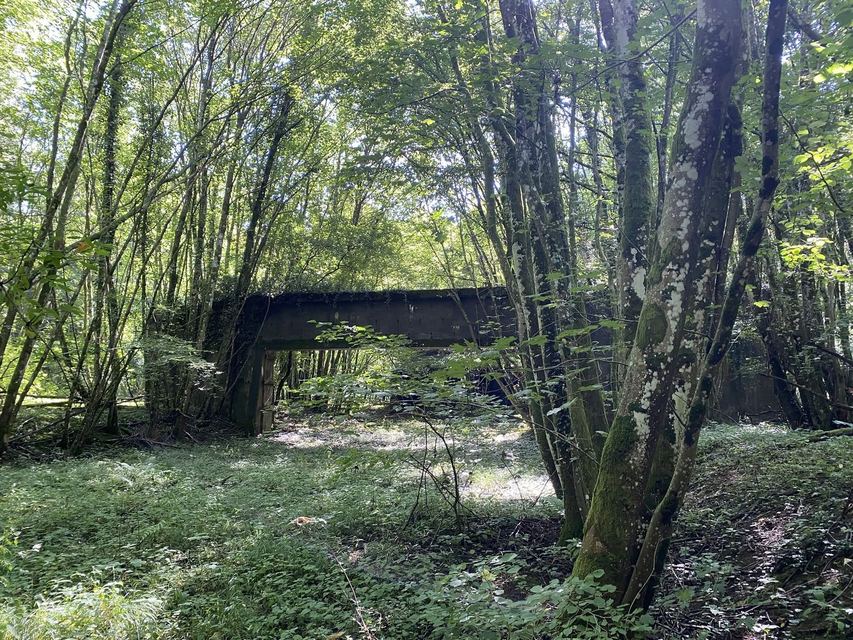 Boucle du Camp d'Angevillers — Mare de Châtebourg — photo 15