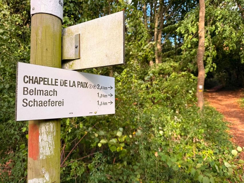 Hammelsberg — entre Apach et Perl — photo 17