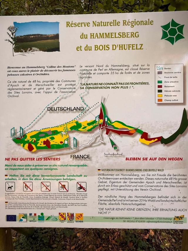 Hammelsberg — entre Apach et Perl — photo 28