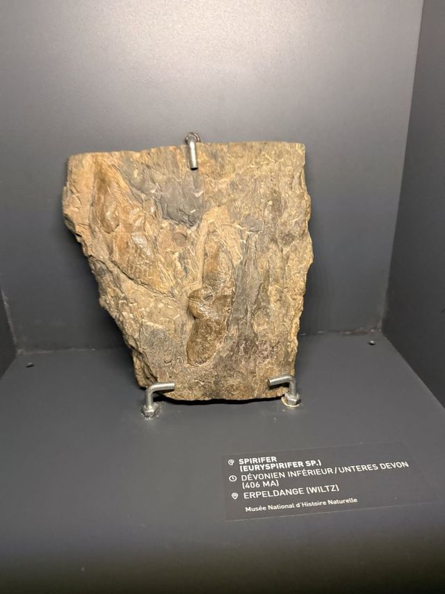 Musée de l'Ardoise — photo 63