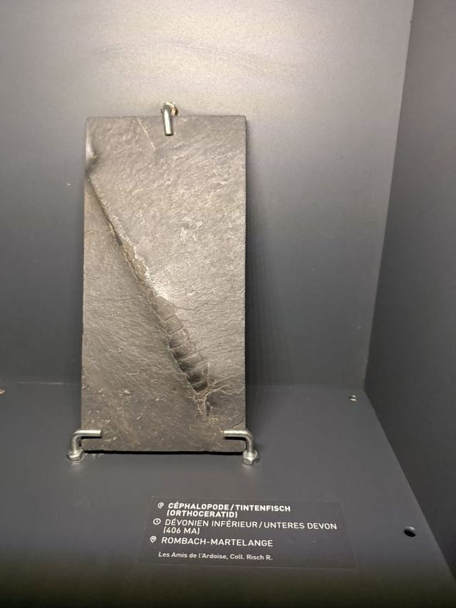 Musée de l'Ardoise — photo 64