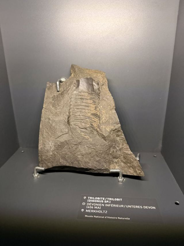 Musée de l'Ardoise — photo 65