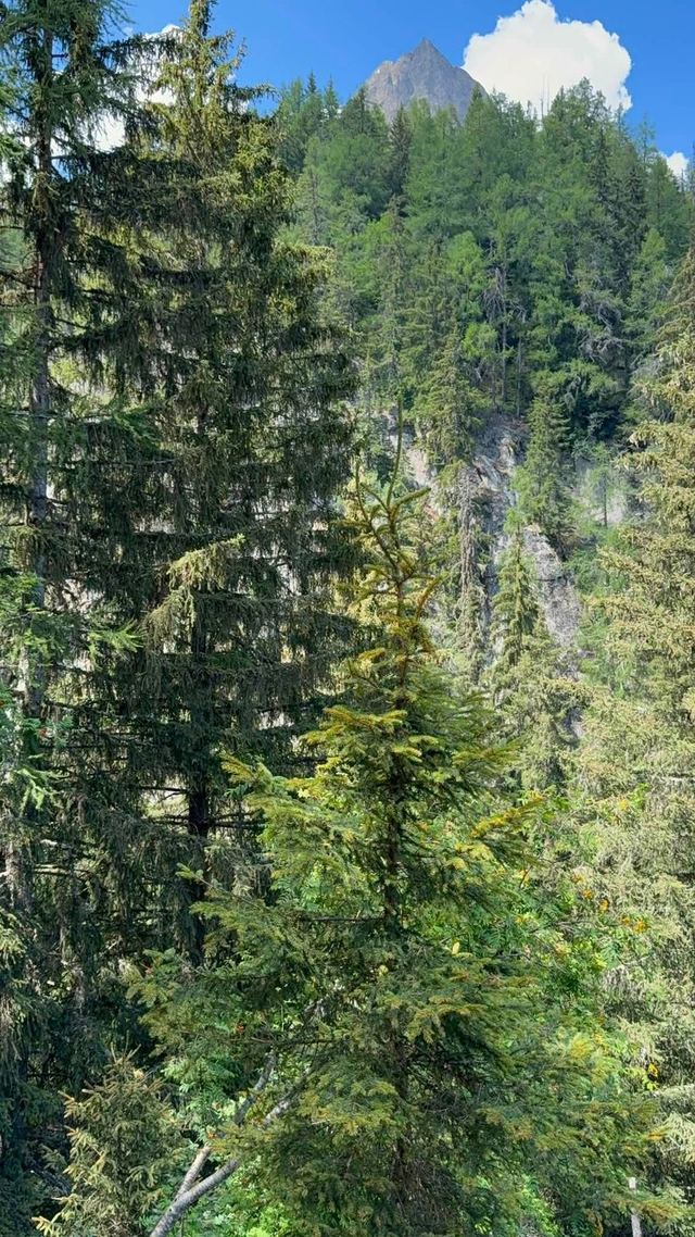 Via ferrata de la Cascade de Bérard — photo 5