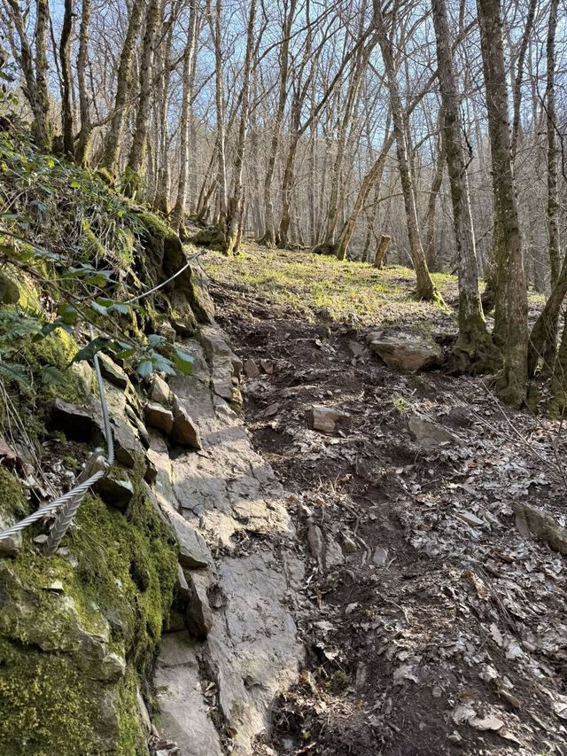 Burgenklettersteig — photo 25