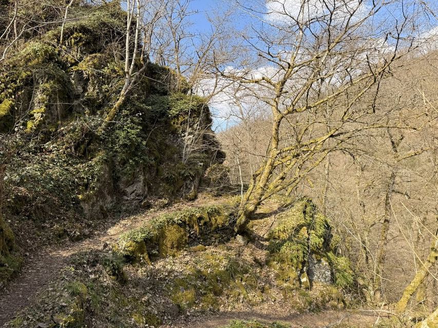 Burgenklettersteig — photo 40