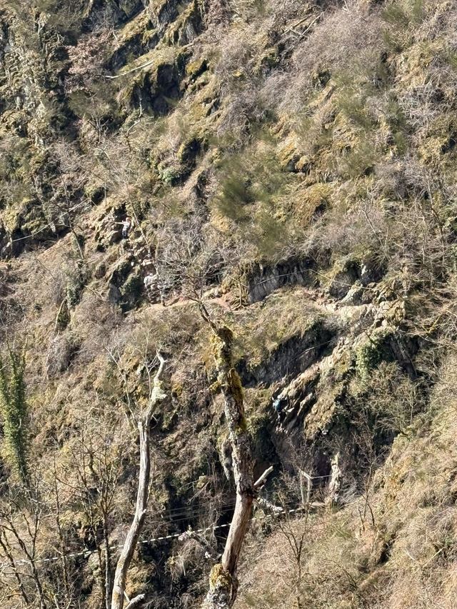 Burgenklettersteig — photo 60