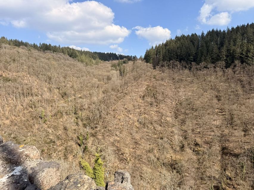Burgenklettersteig — photo 69