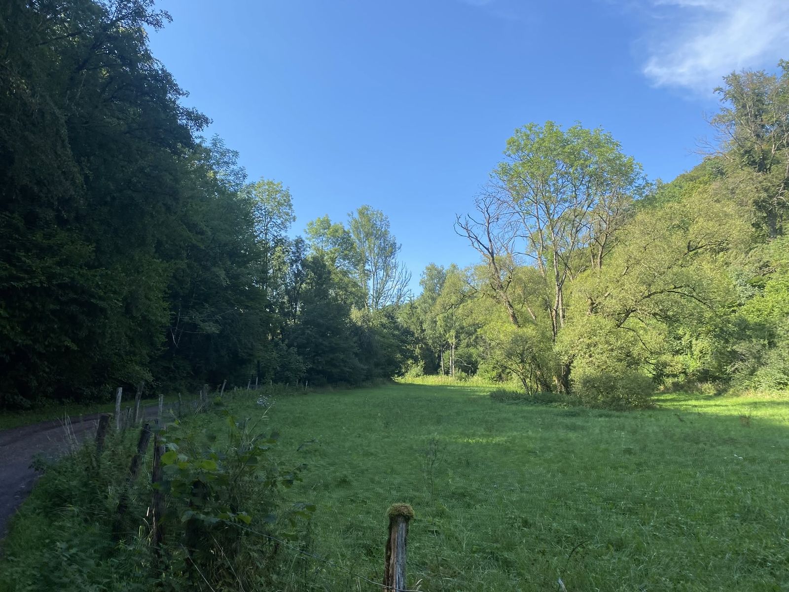 Druidenpfad — le sentier des Druides