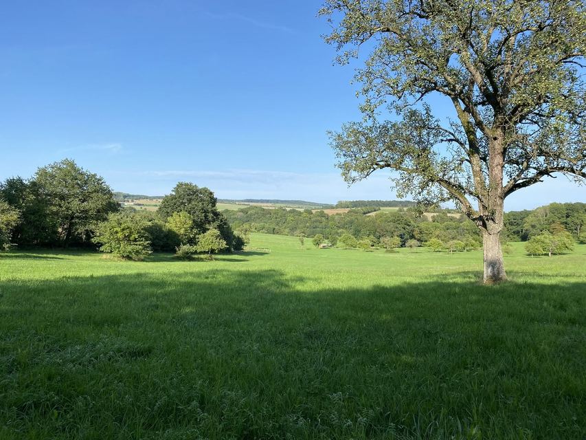 Druidenpfad — le sentier des Druides — photo 5