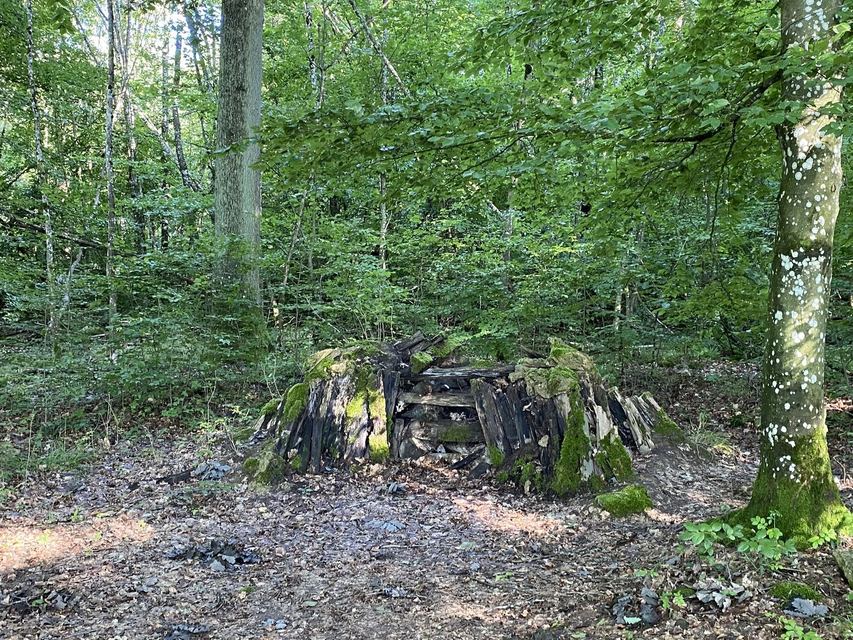 Druidenpfad — le sentier des Druides — photo 6