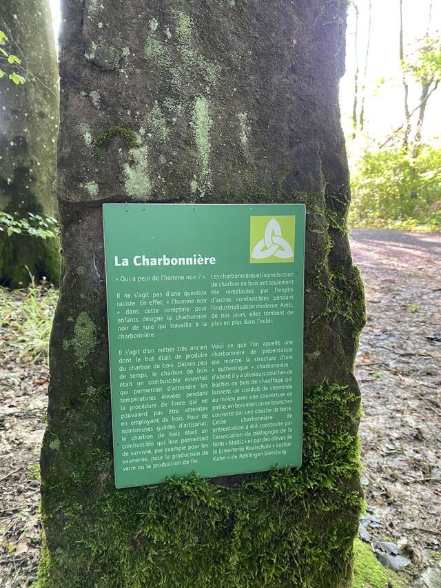 Druidenpfad — le sentier des Druides — photo 7