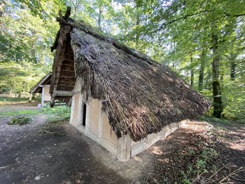 Druidenpfad — le sentier des Druides — photo 11