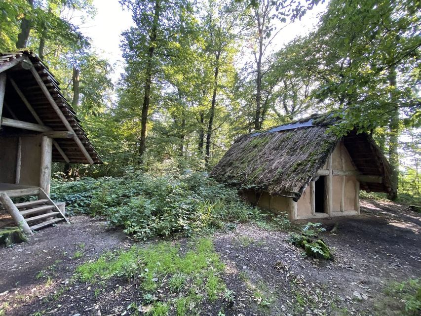 Druidenpfad — le sentier des Druides — photo 13