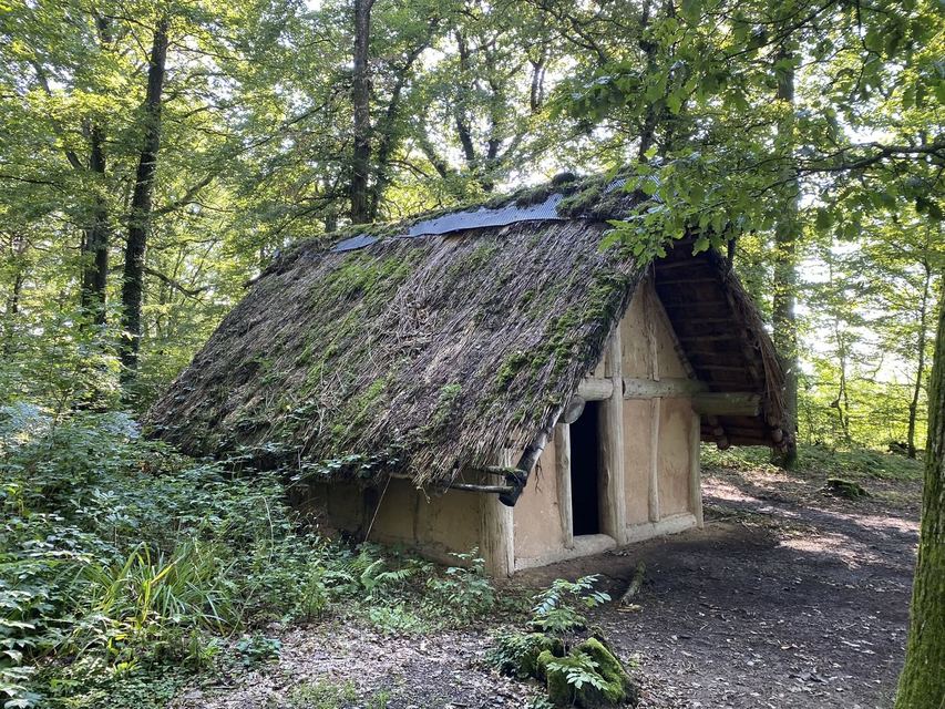 Druidenpfad — le sentier des Druides — photo 14