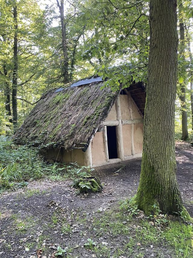 Druidenpfad — le sentier des Druides — photo 15