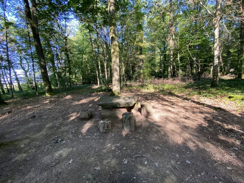 Druidenpfad — le sentier des Druides — photo 16