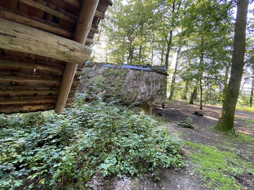 Druidenpfad — le sentier des Druides — photo 17