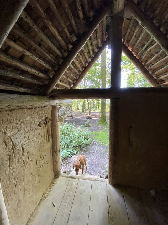Druidenpfad — le sentier des Druides — photo 18