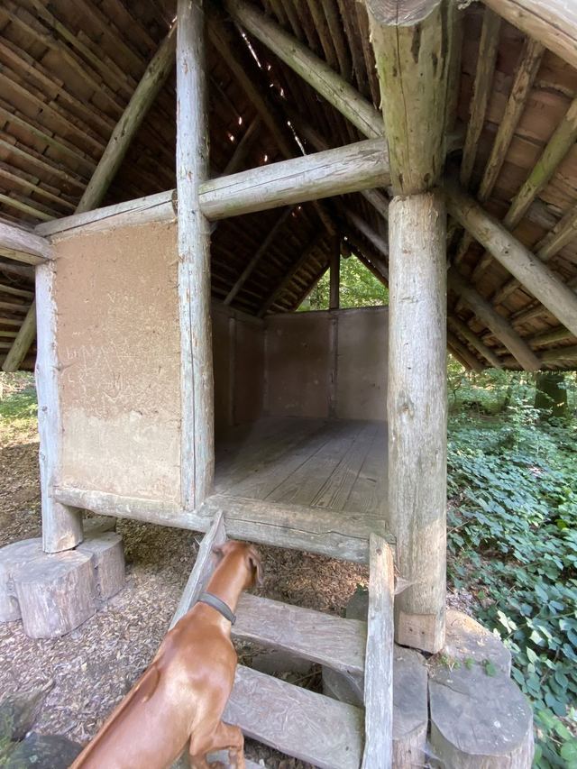 Druidenpfad — le sentier des Druides — photo 19