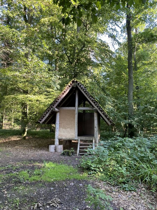 Druidenpfad — le sentier des Druides — photo 24