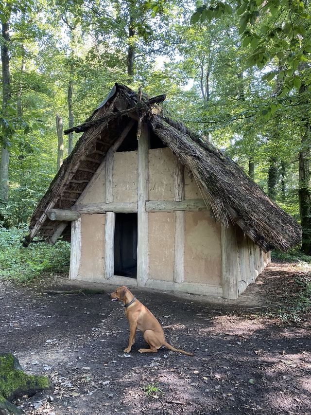 Druidenpfad — le sentier des Druides — photo 25