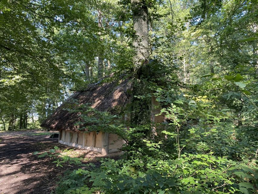 Druidenpfad — le sentier des Druides — photo 26