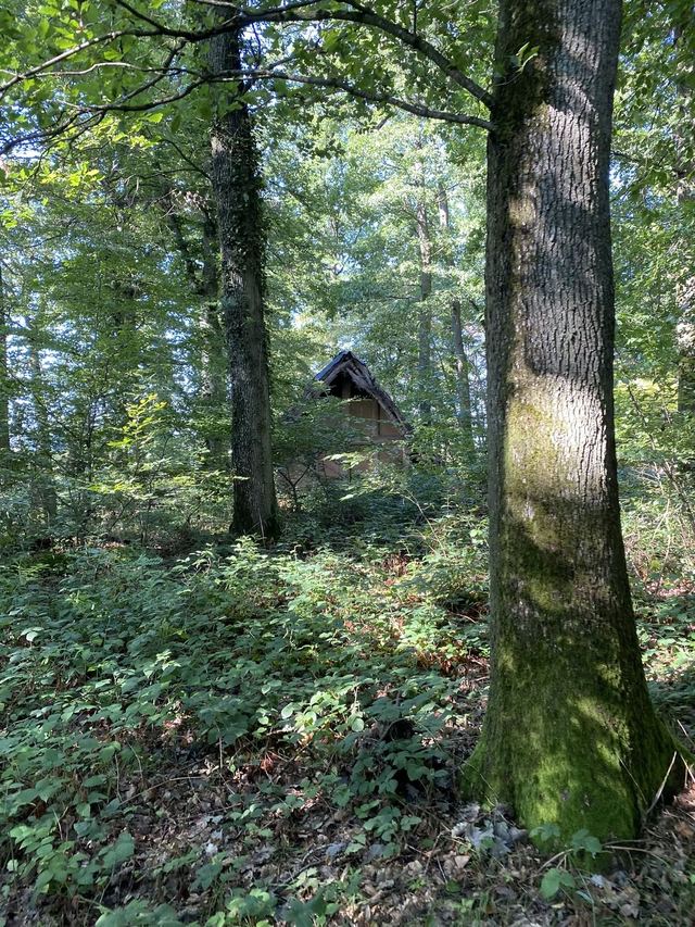 Druidenpfad — le sentier des Druides — photo 27