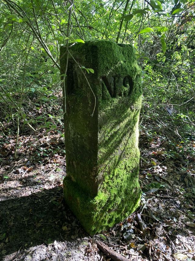Druidenpfad — le sentier des Druides — photo 29