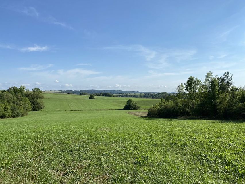 Druidenpfad — le sentier des Druides — photo 32