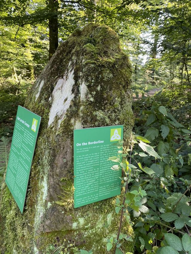Druidenpfad — le sentier des Druides — photo 35