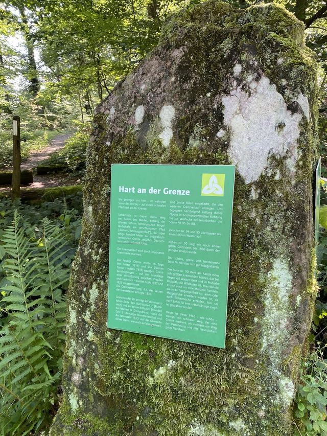 Druidenpfad — le sentier des Druides — photo 36