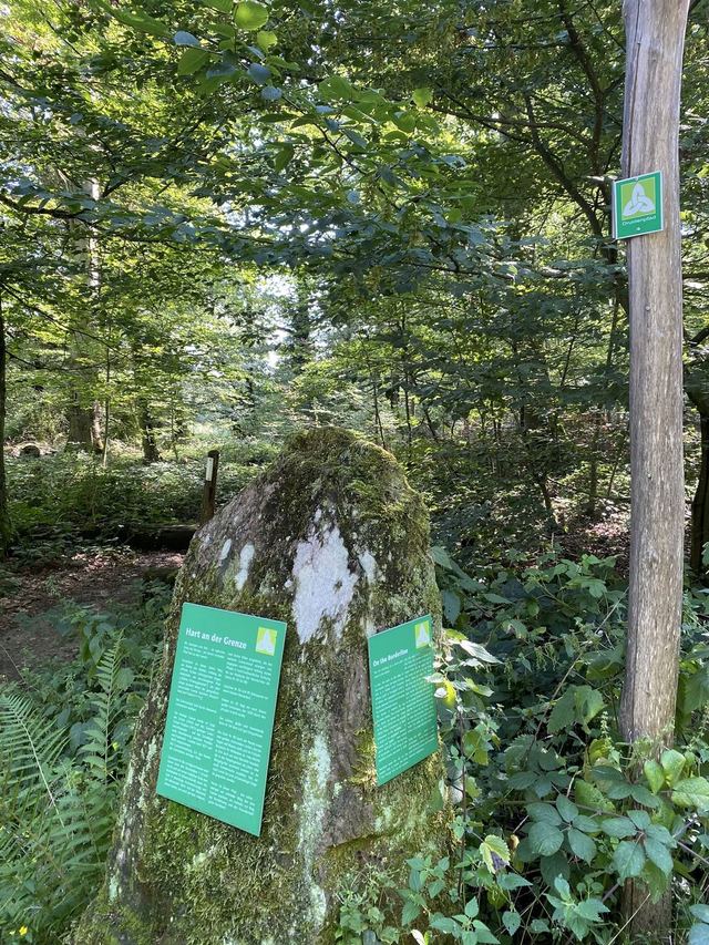 Druidenpfad — le sentier des Druides — photo 37
