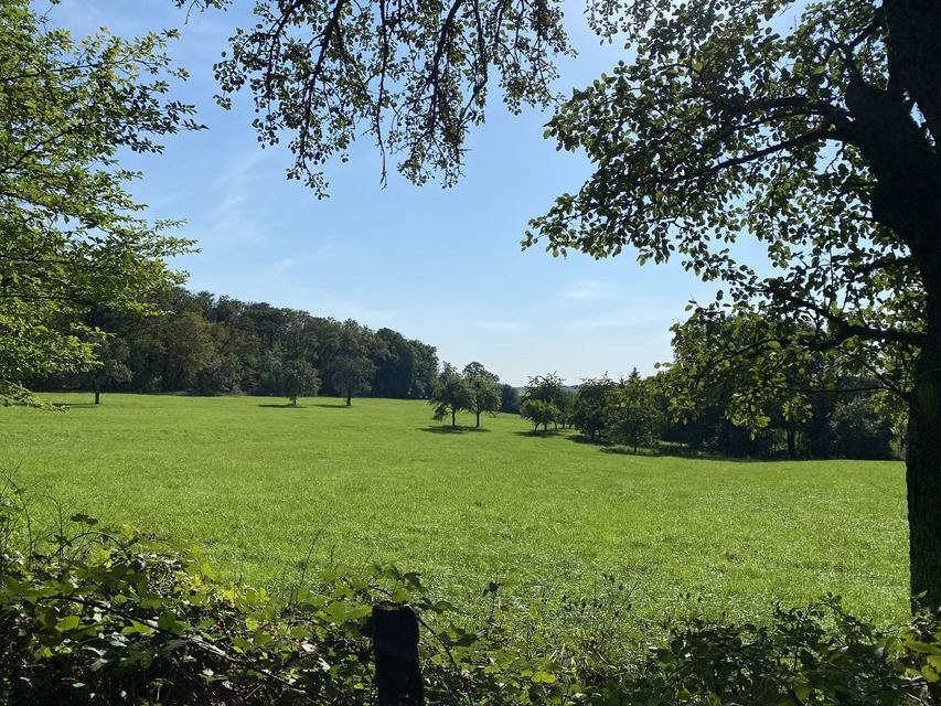 Druidenpfad — le sentier des Druides — photo 39