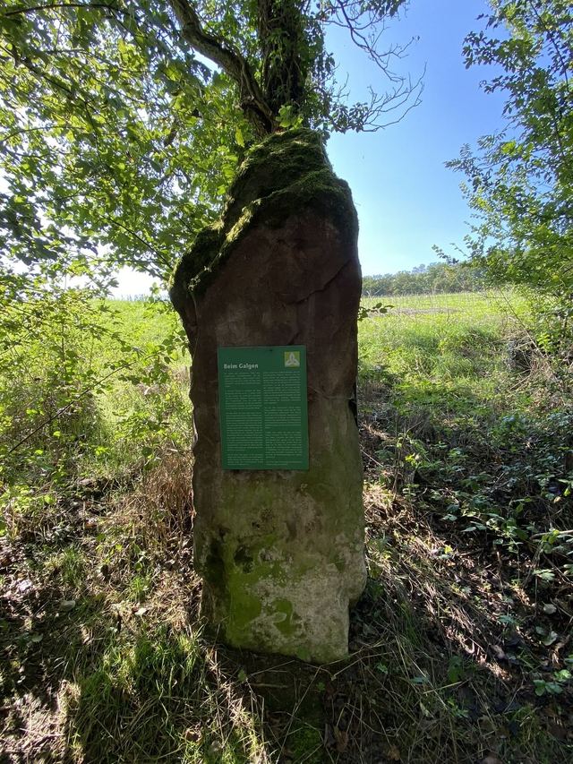 Druidenpfad — le sentier des Druides — photo 40