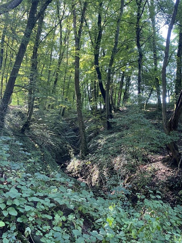 Druidenpfad — le sentier des Druides — photo 42