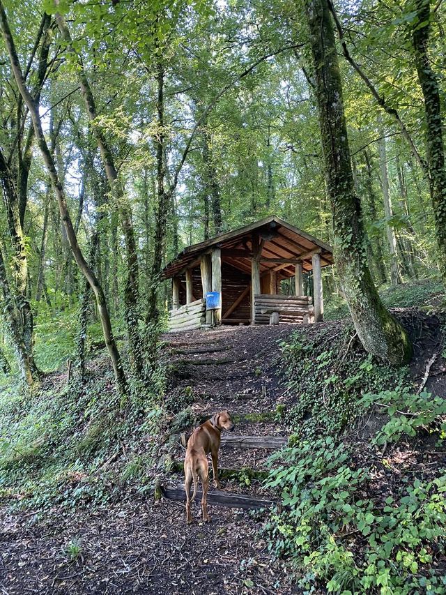 Druidenpfad — le sentier des Druides — photo 43
