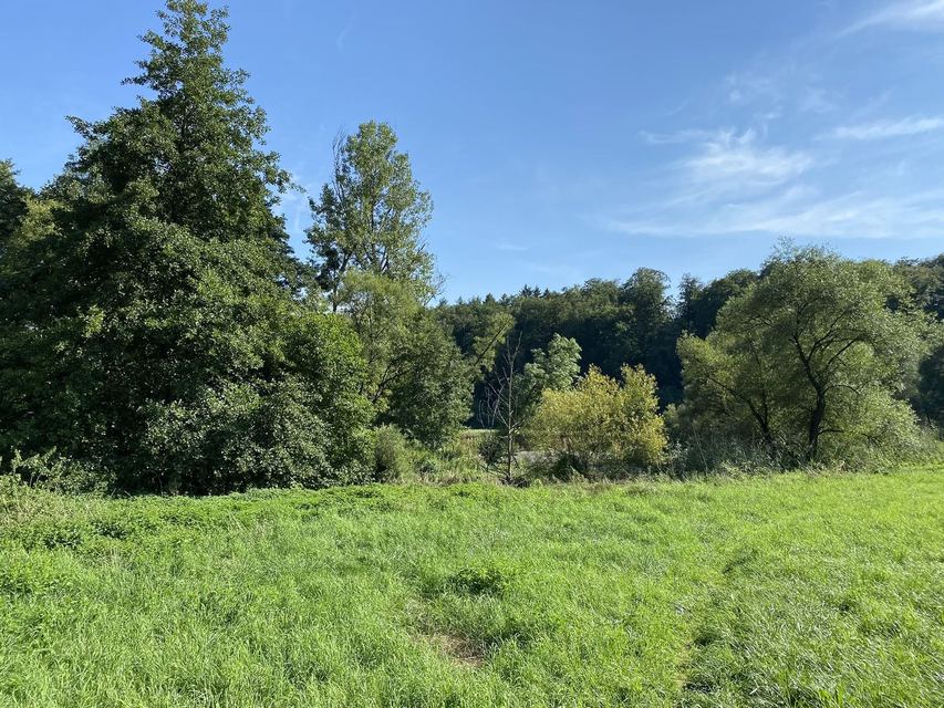 Druidenpfad — le sentier des Druides — photo 44