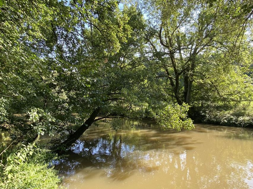Druidenpfad — le sentier des Druides — photo 45