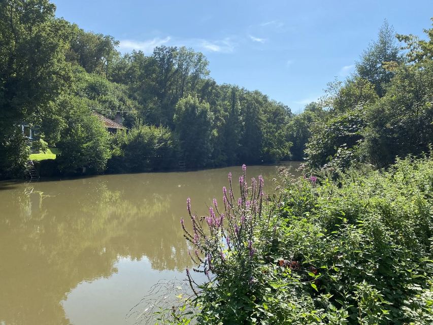 Druidenpfad — le sentier des Druides — photo 48