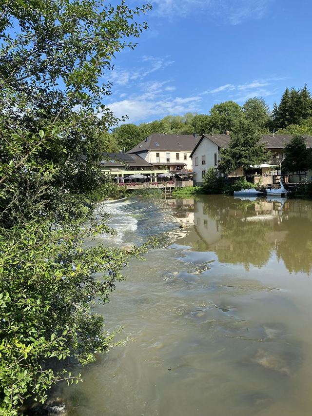 Druidenpfad — le sentier des Druides — photo 49