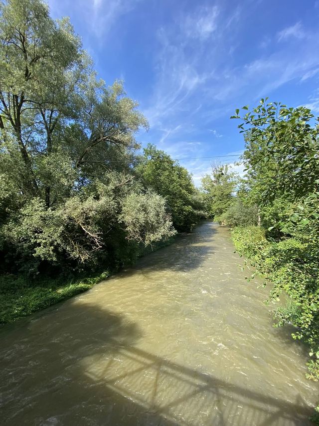 Druidenpfad — le sentier des Druides — photo 51