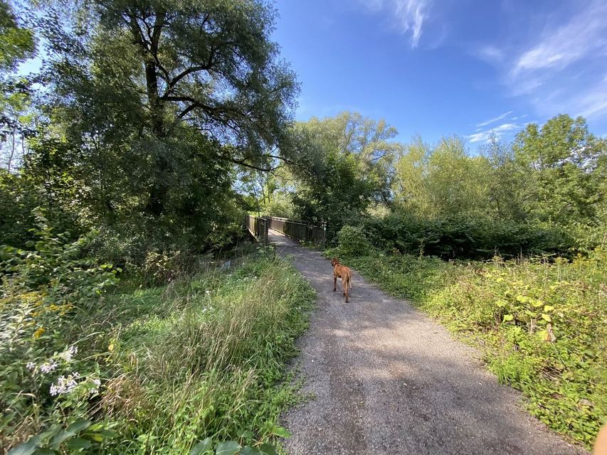 Druidenpfad — le sentier des Druides — photo 54